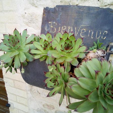 Chambre D'Hotes L'Hermione Bed & Breakfast Villeneuve-sur-Vere Exterior photo