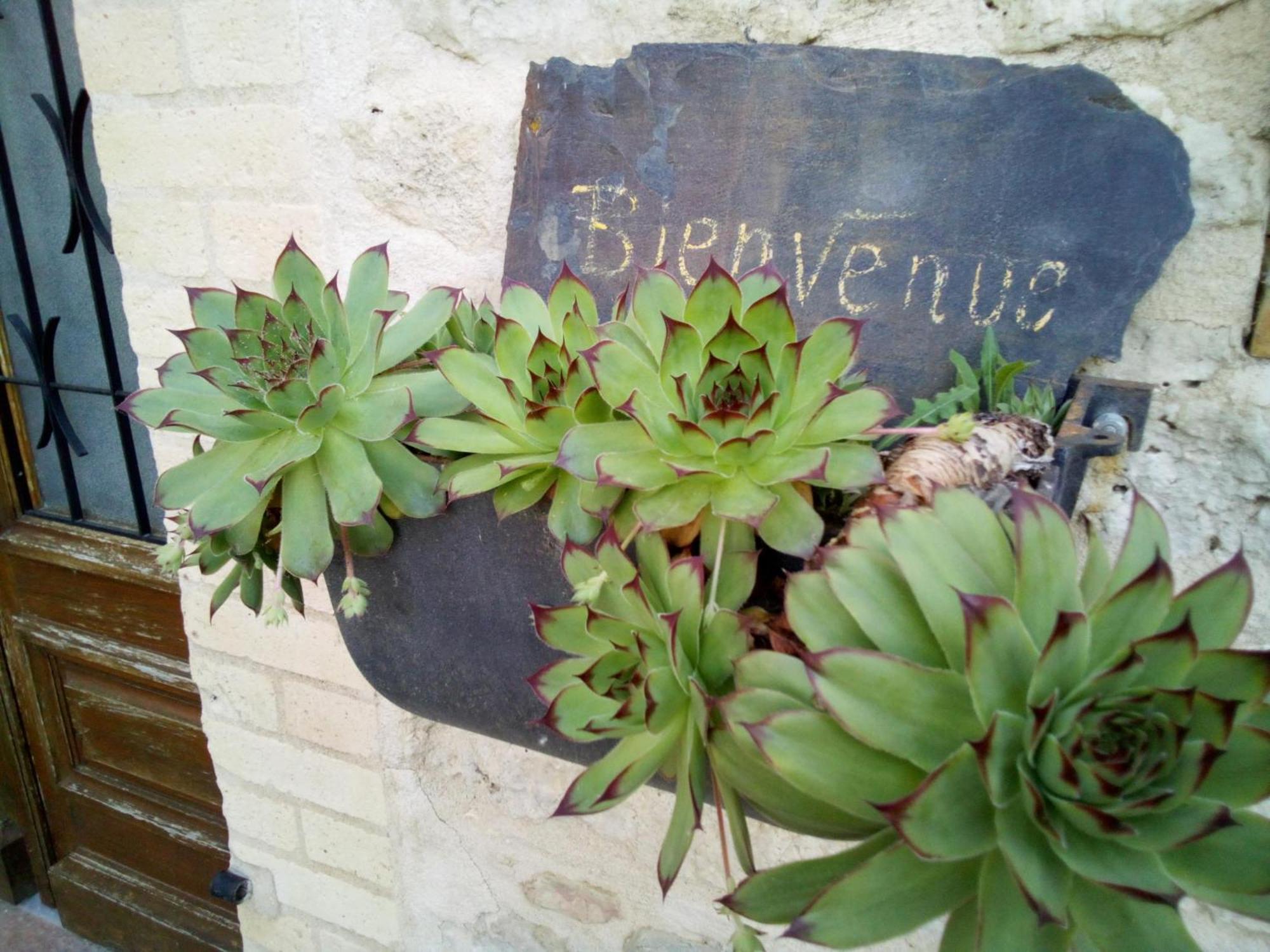 Chambre D'Hotes L'Hermione Bed & Breakfast Villeneuve-sur-Vere Exterior photo